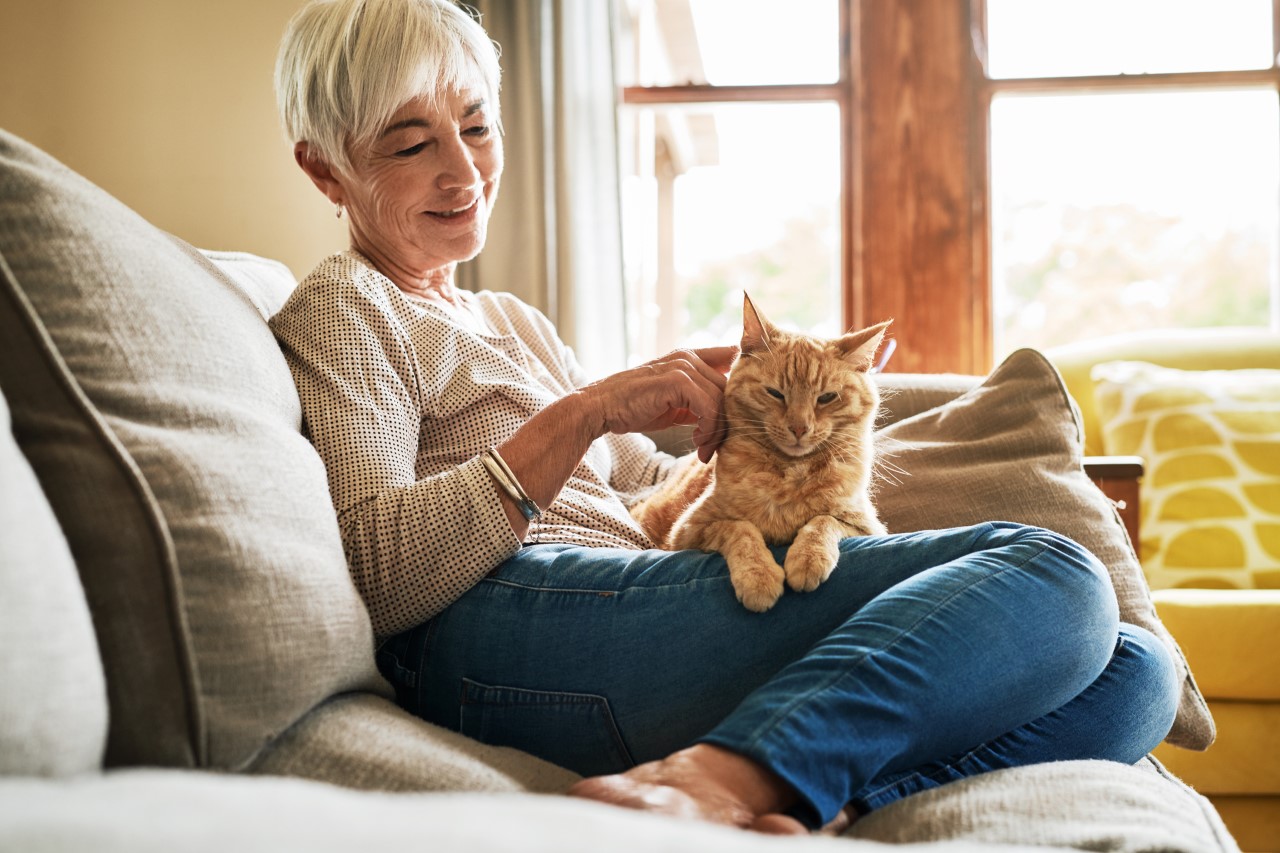 senior woman playing with an orange cat on her lap